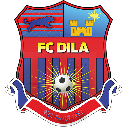 Dila Gori