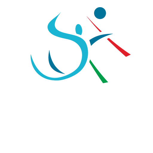 Hungary Volleyball